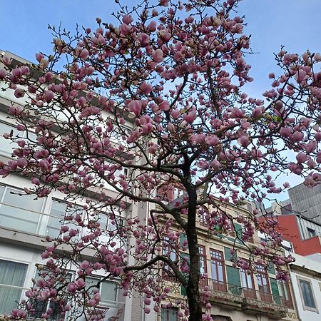 شقة Otf- Porto Centro المظهر الخارجي الصورة