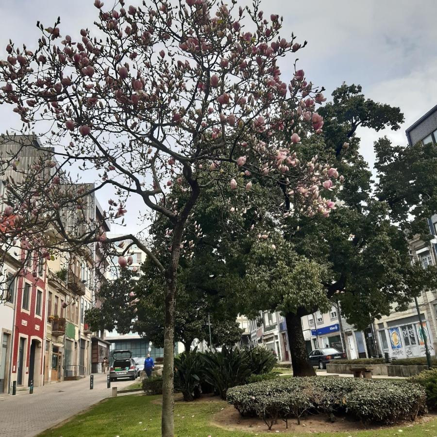 شقة Otf- Porto Centro المظهر الخارجي الصورة